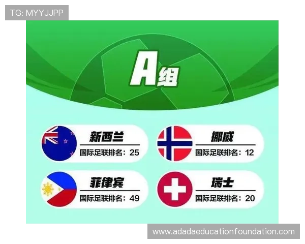 世界杯新西兰比利时比赛官方售票平台详细介绍及购票流程指南
